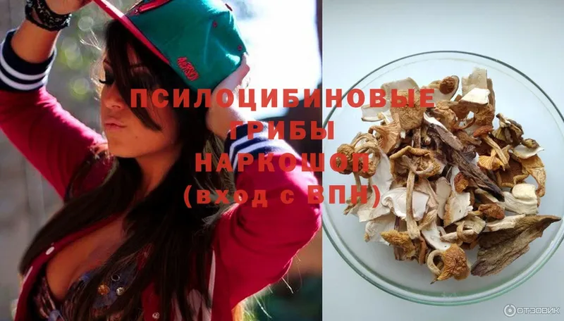 дарнет шоп  Кириллов  Псилоцибиновые грибы Psilocybe 